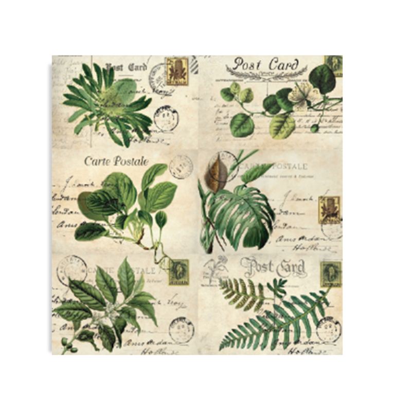 Láminas Decoupage